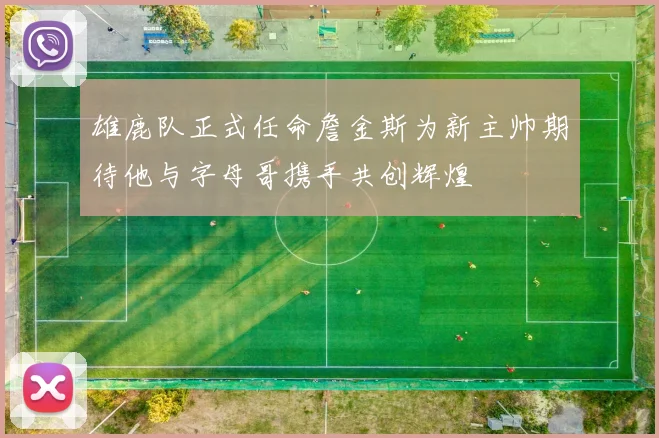 雄鹿队正式任命詹金斯为新主帅期待他与字母哥携手共创辉煌